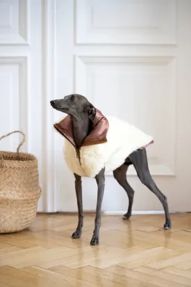 Woolen Dog Vest - White